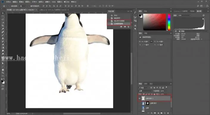 海报制作，用PS做一张镂空的动物公益海报_www.haoyidiansheji.com