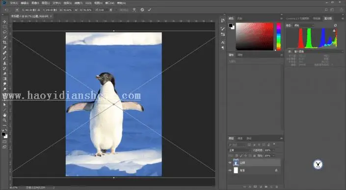 海报制作，用PS做一张镂空的动物公益海报_www.haoyidiansheji.com