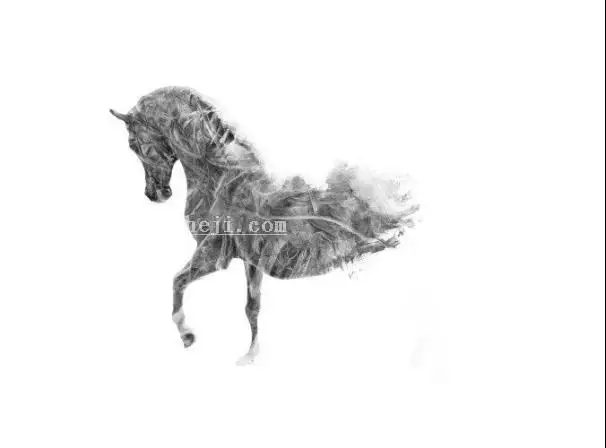 插画制作，在PS中建一个艺术马插画_www.haoyidiansheji.com