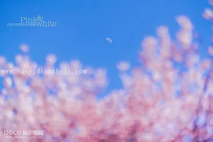 www.haoyidiansheji.com_022TB2E-20.jpg