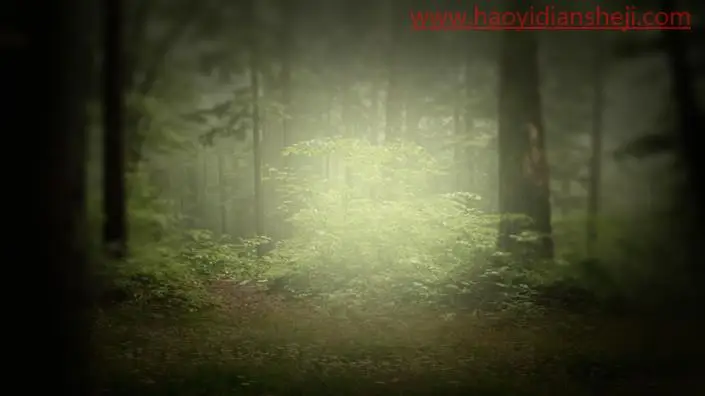 创意合成，在PS中合成一个在丛林书本上睡觉的男孩_www.haoyidiansheji.com