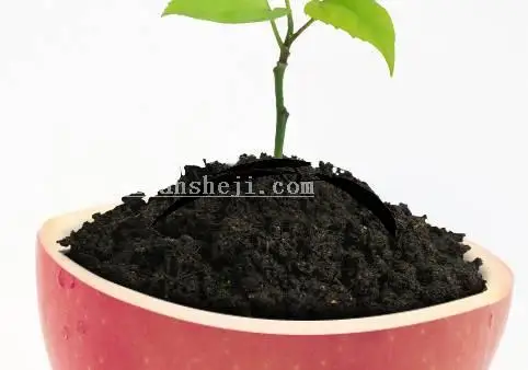 场景合成，通过PS合成一张苹果里面种苹果树的趣味照片_www.haoyidiansheji.com