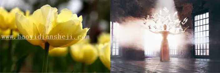 素材使用，如何选择适合的图片素材_www.haoyidiansheji.com