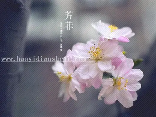 抽丝教程，做出斜纹图案的照片_www.haoyidiansheji.com