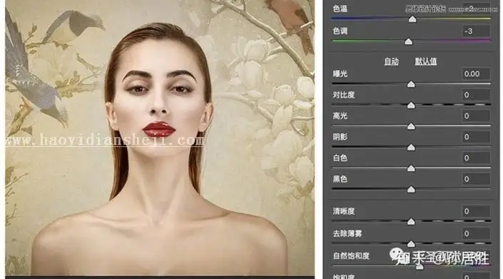 工笔画，用PS实例讲解中国风工笔画人像后期修图_www.haoyidiansheji.com