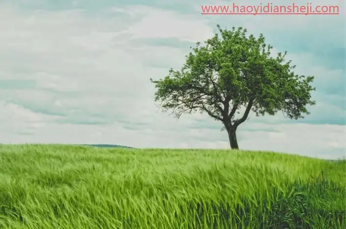 快速抠图，一分钟抠出繁琐的树木枝叶_www.haoyidiansheji.com