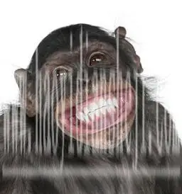 胶片效果，巧用PS给所需图片添加颗粒感_www.haoyidiansheji.com