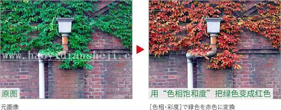 春天变秋天，把绿叶调成丰收的金黄_www.haoyidiansheji.com