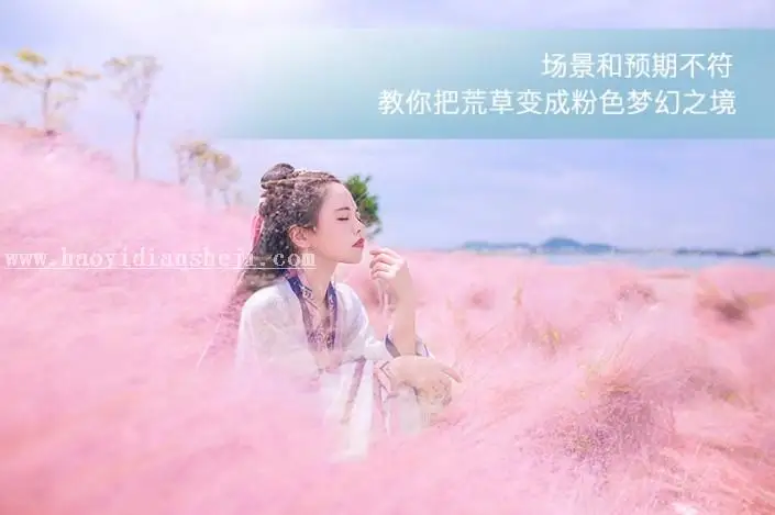 粉色系，用PS把荒草变成粉色梦幻场景_www.haoyidiansheji.com