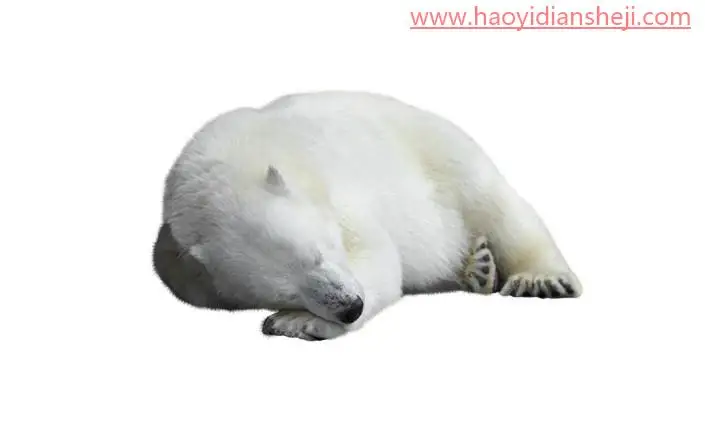 创意合成，合成制作一幅融化的北极熊_www.haoyidiansheji.com