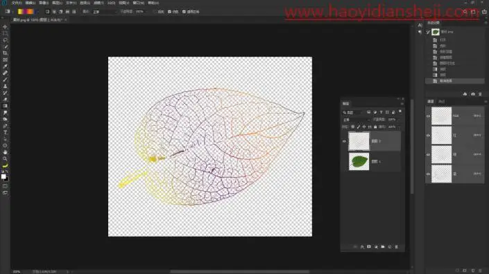 树叶剪影，通过PS提取树叶的脉络_www.haoyidiansheji.com