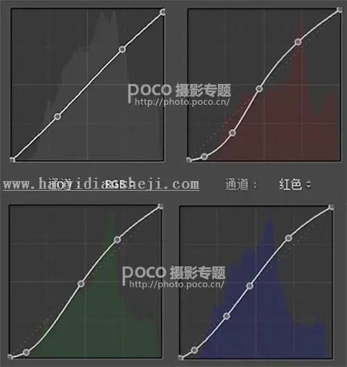 LR调色教程，夏日花海照片实例教程_www.haoyidiansheji.com