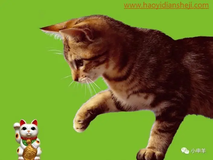 抠动物，在PS中抠出玩耍鼠标小猫咪的绒毛_www.haoyidiansheji.com