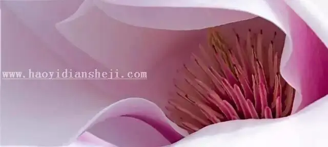 植物调色，调出亮丽色彩的花朵教程_www.haoyidiansheji.com