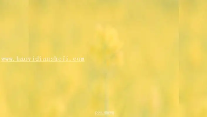 LR调色教程，通过LR给油菜花拍摄的人像调出小清新的效果_www.haoyidiansheji.com