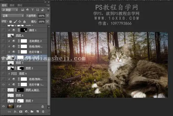 场景合成，合成大猫小老虎奇幻场景_www.haoyidiansheji.com