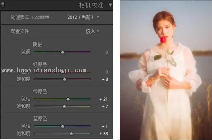 复古色，通过LR把人像跳出复古的朦胧调人像_www.haoyidiansheji.com