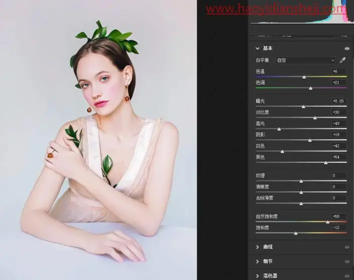 转手绘，在PS中打造仙气感十足的手绘效果照片_www.haoyidiansheji.com