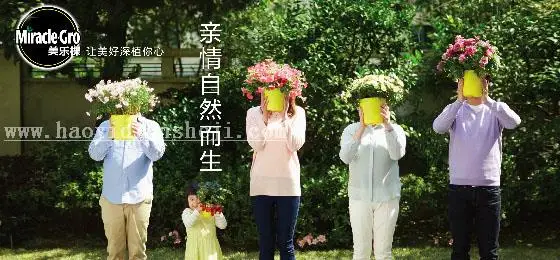 Banner知识，不抠图不合成做出高逼格Banner设计_www.haoyidiansheji.com