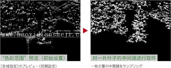 春天变秋天，把绿叶调成丰收的金黄_www.haoyidiansheji.com