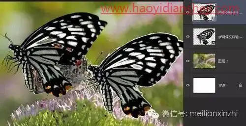 透明效果，制作透明和半透明的图片_www.haoyidiansheji.com