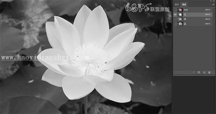 通道抠图，在通道中利用曲线快速抠图方法_www.haoyidiansheji.com