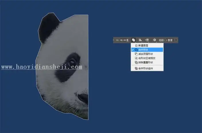 多边形效果，设计多边形熊猫图片_www.haoyidiansheji.com