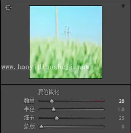 LR调色教程，通过LR给夏日静物调出一种小清新色调_www.haoyidiansheji.com