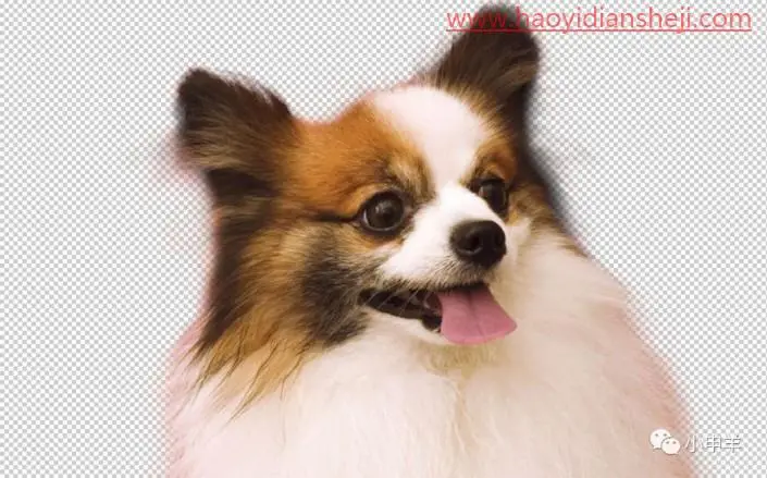 通道抠图，通道PS中的通道抠出可爱的狗狗_www.haoyidiansheji.com