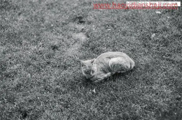 黑白效果，用专业的PS做专业的黑白效果照片_www.haoyidiansheji.com