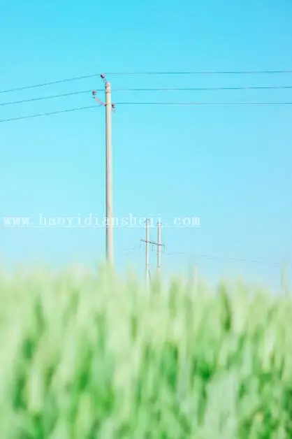 LR调色教程，通过LR给夏日静物调出一种小清新色调_www.haoyidiansheji.com
