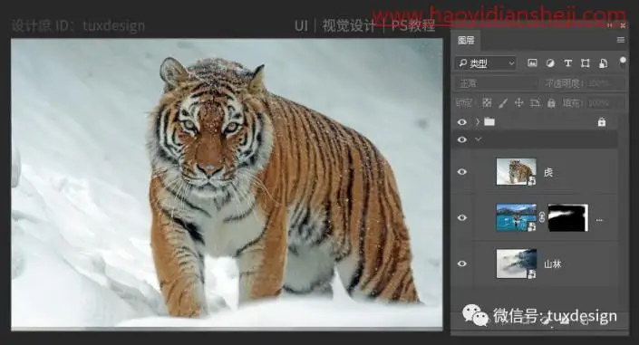 奇幻合成，制作一张有画面感的猛虎下山场景照片_www.haoyidiansheji.com