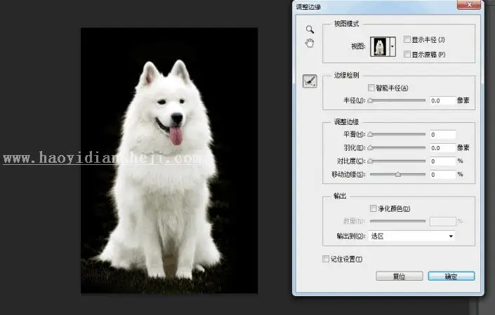 换背景，通过PS给狗狗换背景_www.haoyidiansheji.com