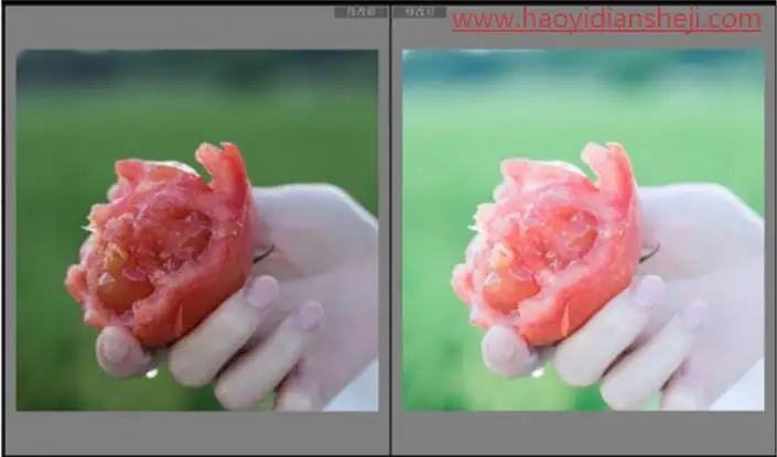 LR静物调色，通过LR给静物调出夏日清新色调_www.haoyidiansheji.com