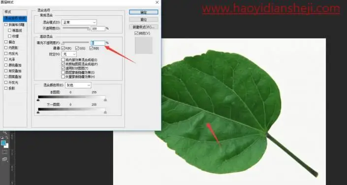 绘制水珠，在PS中绘制逼真的树叶水珠_www.haoyidiansheji.com