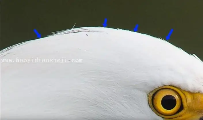 去色差，去除照片边缘色差小技巧_www.haoyidiansheji.com