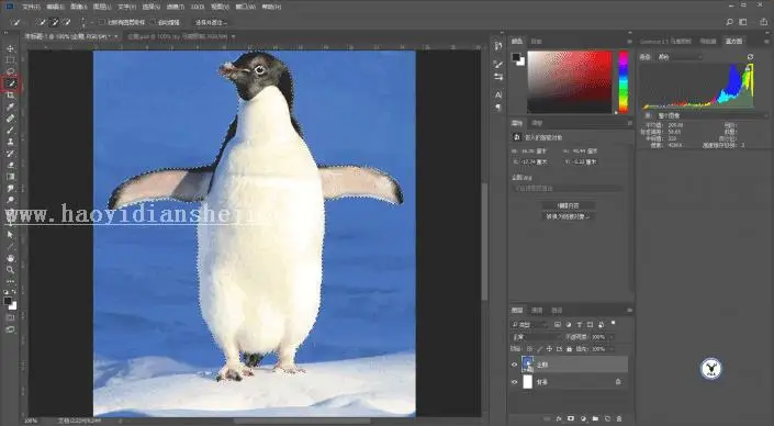 海报制作，用PS做一张镂空的动物公益海报_www.haoyidiansheji.com