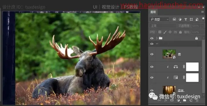 场景合成，制作森林里面的小男孩和小鹿_www.haoyidiansheji.com