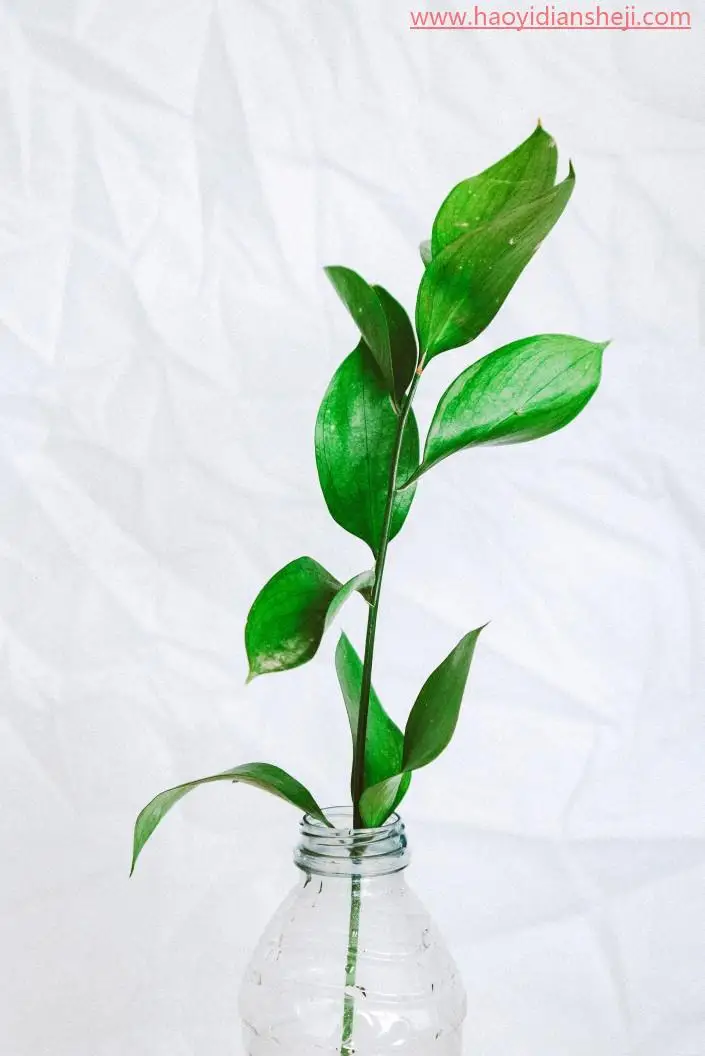 钢笔抠图，用PS中的钢笔工具精准抠出所需图像_www.haoyidiansheji.com