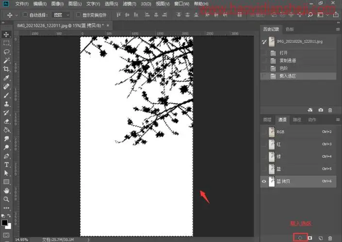 通道抠图，用通道抠出细小的花朵_www.haoyidiansheji.com