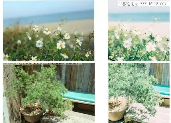 胶片色，用PS调出静物日系胶片效果_www.haoyidiansheji.com