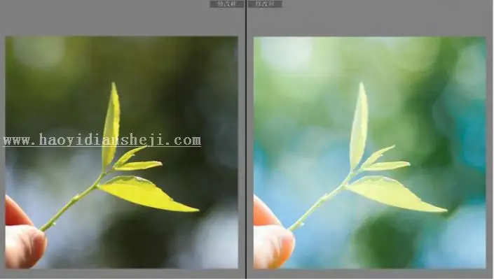 LR调色教程，通过LR给夏日静物调出一种小清新色调_www.haoyidiansheji.com