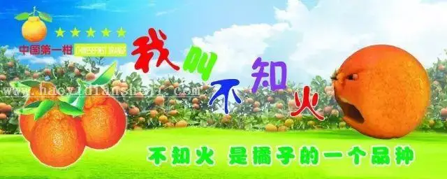 设计技巧，五招让你的设计不像那么丑_www.haoyidiansheji.com