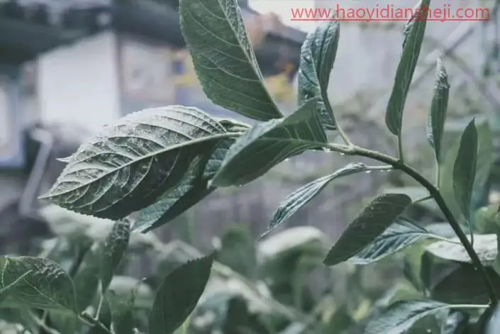 胶片色，调出阴天清新日系胶片色调_www.haoyidiansheji.com