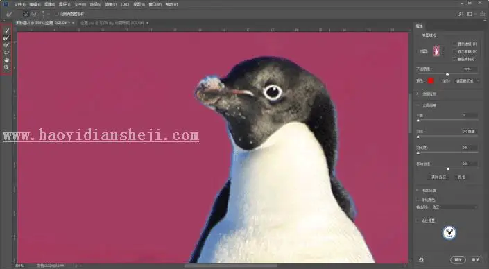 海报制作，用PS做一张镂空的动物公益海报_www.haoyidiansheji.com