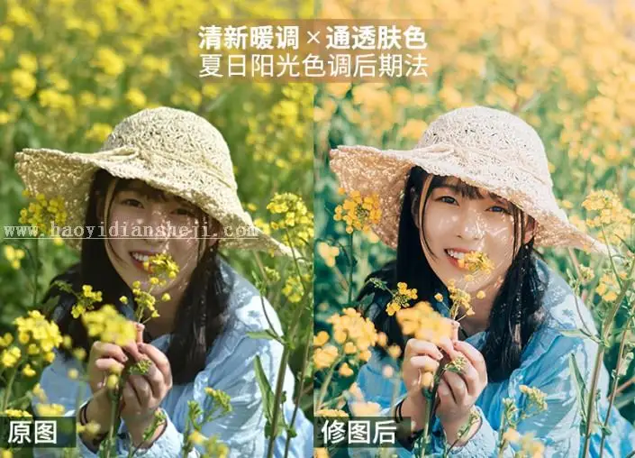 LR调色教程，夏日花海照片实例教程_www.haoyidiansheji.com