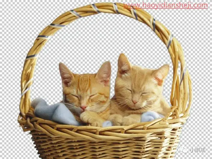 抠动物，用PS抠出边缘复杂篮子中的小猫咪_www.haoyidiansheji.com