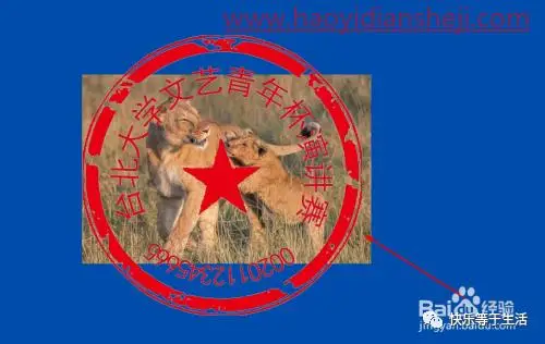 玻璃效果，制作雨后玻璃水珠效果_www.haoyidiansheji.com