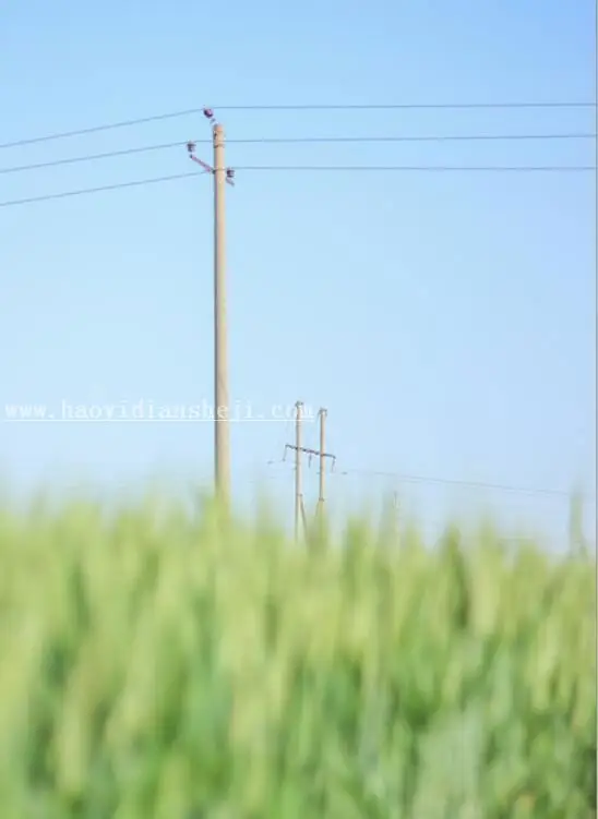LR调色教程，通过LR给夏日静物调出一种小清新色调_www.haoyidiansheji.com