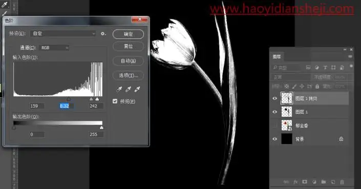 液态效果，在PS中制作一枝质感的液态花朵_www.haoyidiansheji.com